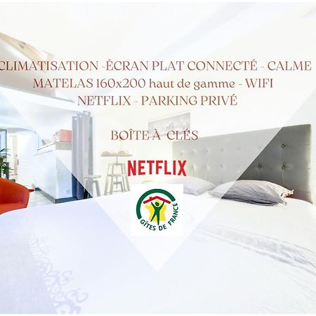 Studio Atypique Et Cosy, Classe "Gite De France" 5Min Centre, 15Min Gare, Lit Queen Size "Climatisation, Netflix Et Wifi, Parking, Lave Vaisselle, Boite A Cles Pour Arrivee Tardive - Gites La Tarine Альбервіль Екстер'єр фото