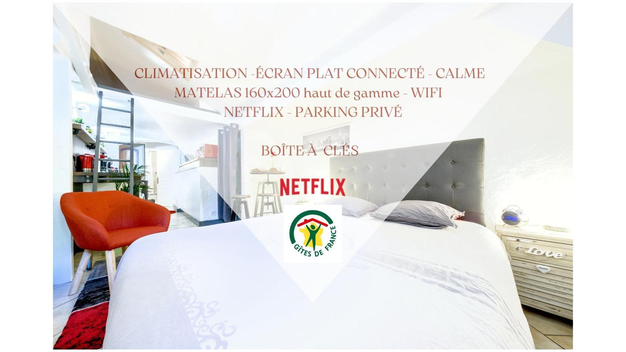 Studio Atypique Et Cosy, Classe "Gite De France" 5Min Centre, 15Min Gare, Lit Queen Size "Climatisation, Netflix Et Wifi, Parking, Lave Vaisselle, Boite A Cles Pour Arrivee Tardive - Gites La Tarine Альбервіль Екстер'єр фото